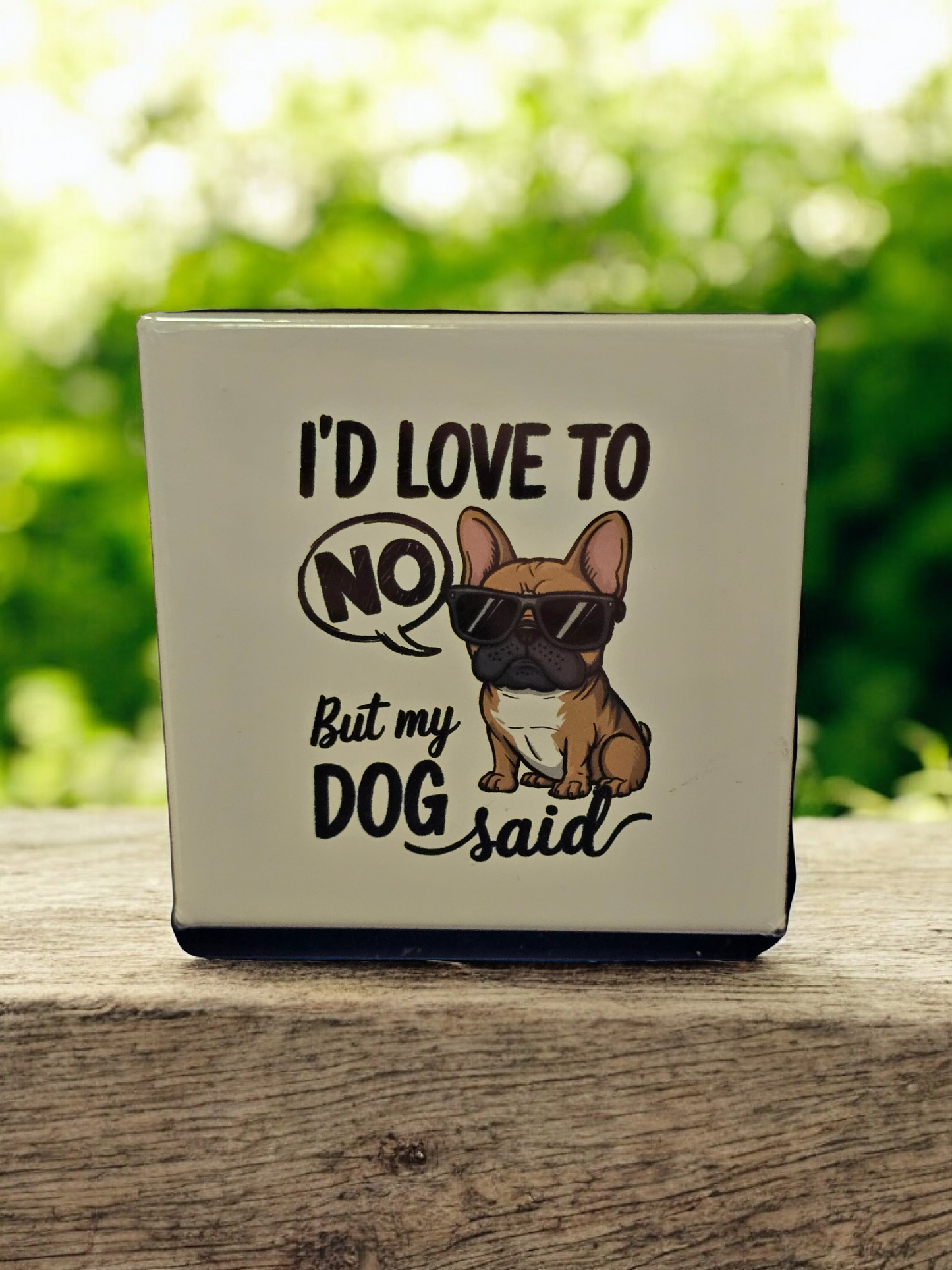 My dog said no
