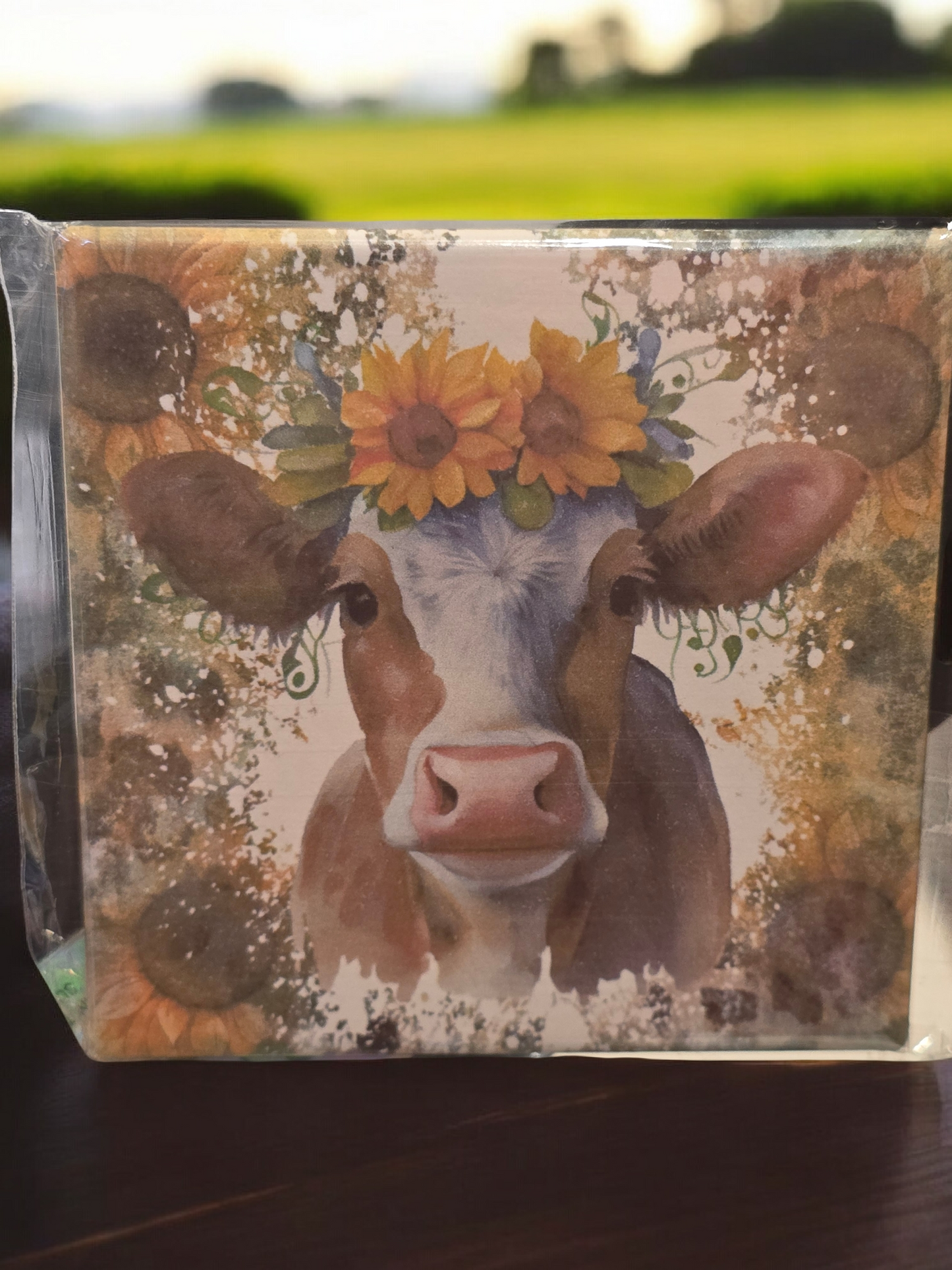 Cow
