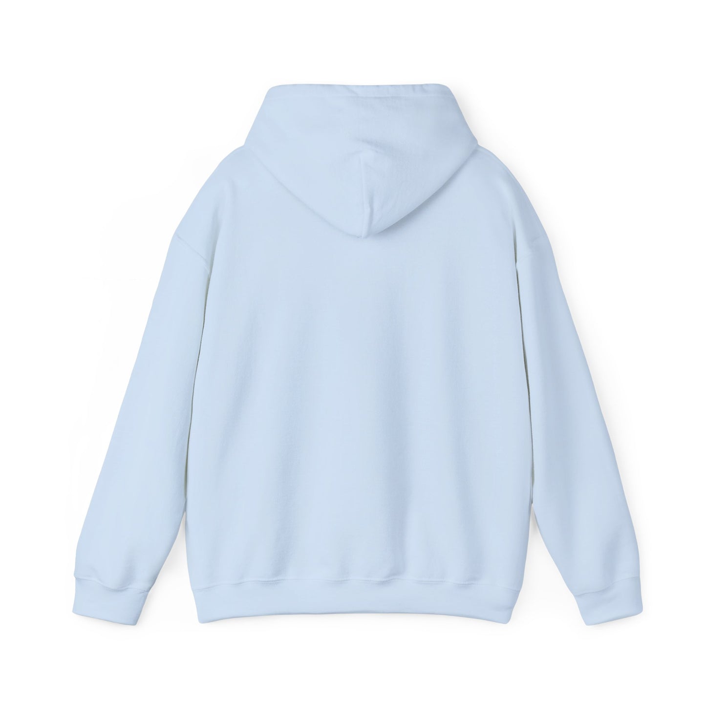 Sumter County Vintage Hoodie – Limited Edition Scenic Design