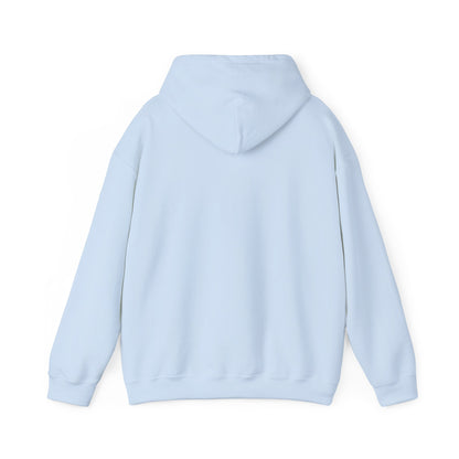 Sumter County Vintage Hoodie – Limited Edition Scenic Design
