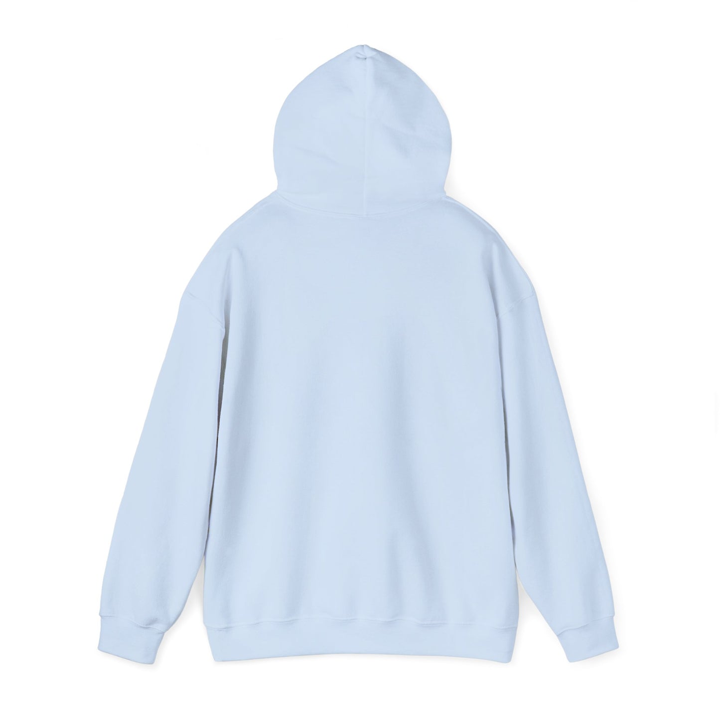 Sumter County Vintage Hoodie – Limited Edition Scenic Design