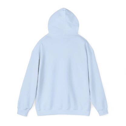 Sumter County Vintage Hoodie – Limited Edition Scenic Design
