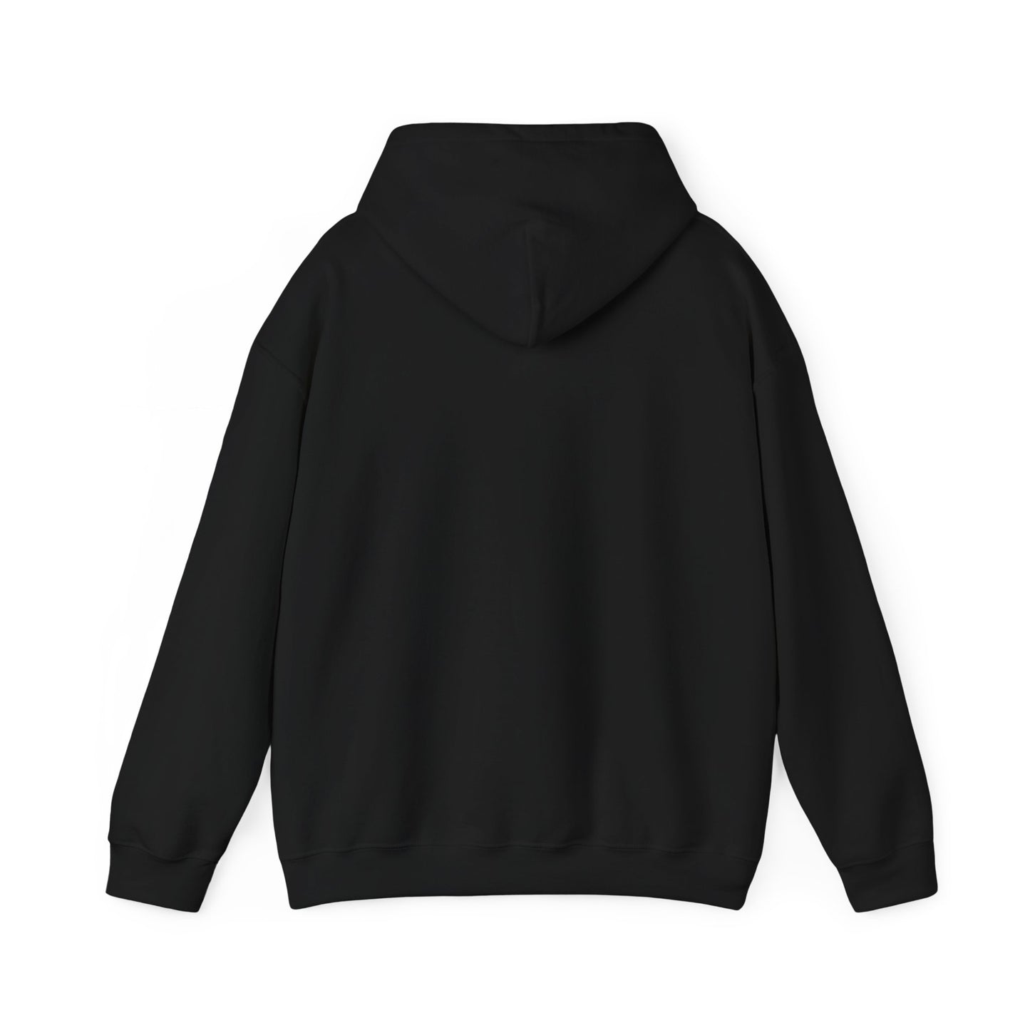 Sumter County Vintage Hoodie – Limited Edition Scenic Design
