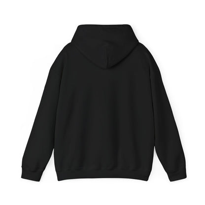 Sumter County Vintage Hoodie – Limited Edition Scenic Design