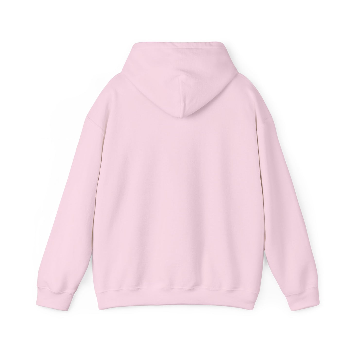 Sumter County Vintage Hoodie – Limited Edition Scenic Design
