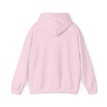 Sumter County Vintage Hoodie – Limited Edition Scenic Design