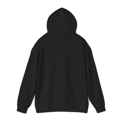 Sumter County Vintage Hoodie – Limited Edition Scenic Design