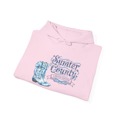 Sumter County Vintage Hoodie – Limited Edition Scenic Design