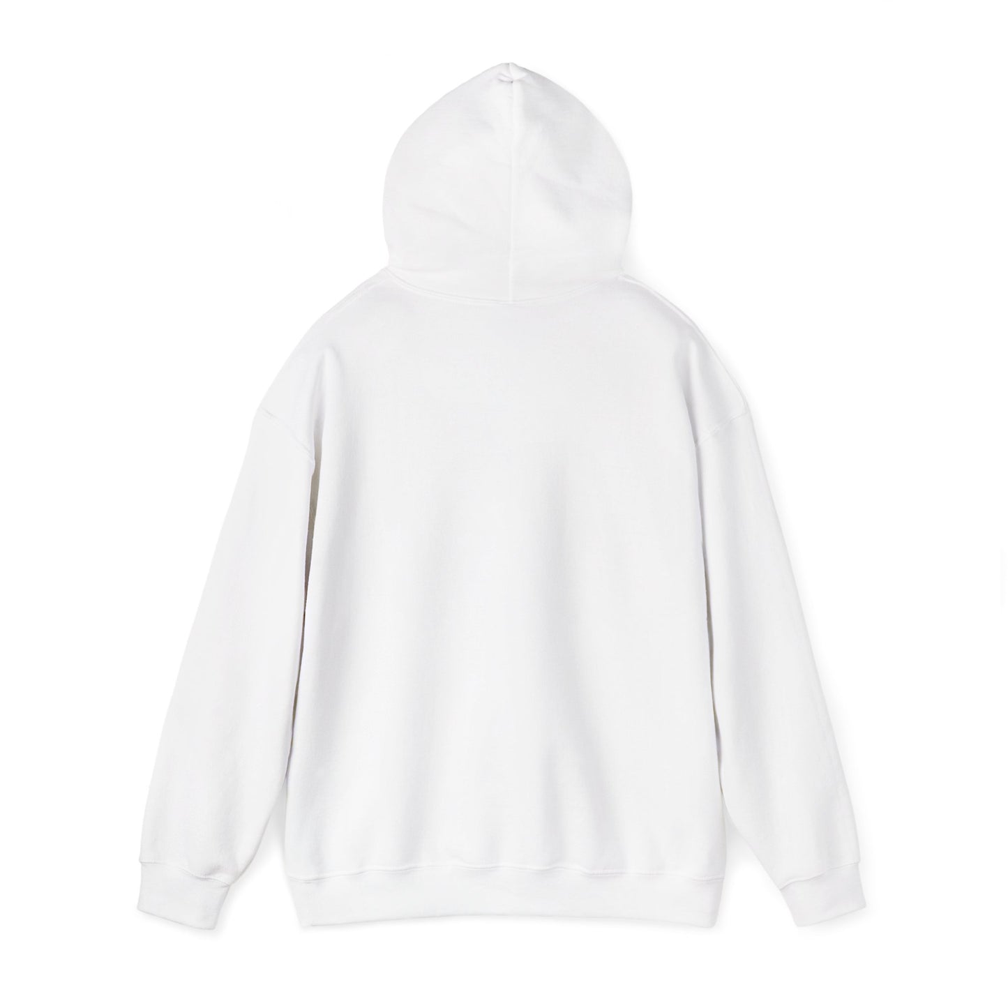 Sumter County Vintage Hoodie – Limited Edition Scenic Design