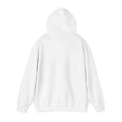 Sumter County Vintage Hoodie – Limited Edition Scenic Design