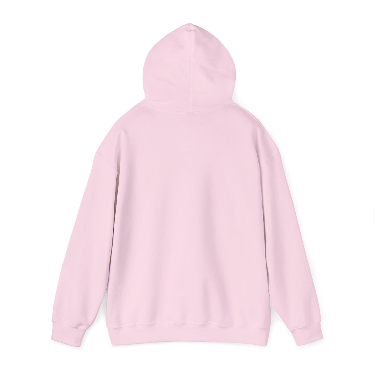 Sumter County Vintage Hoodie – Limited Edition Scenic Design