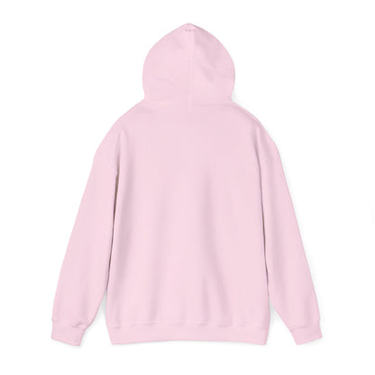Sumter County Vintage Hoodie – Limited Edition Scenic Design