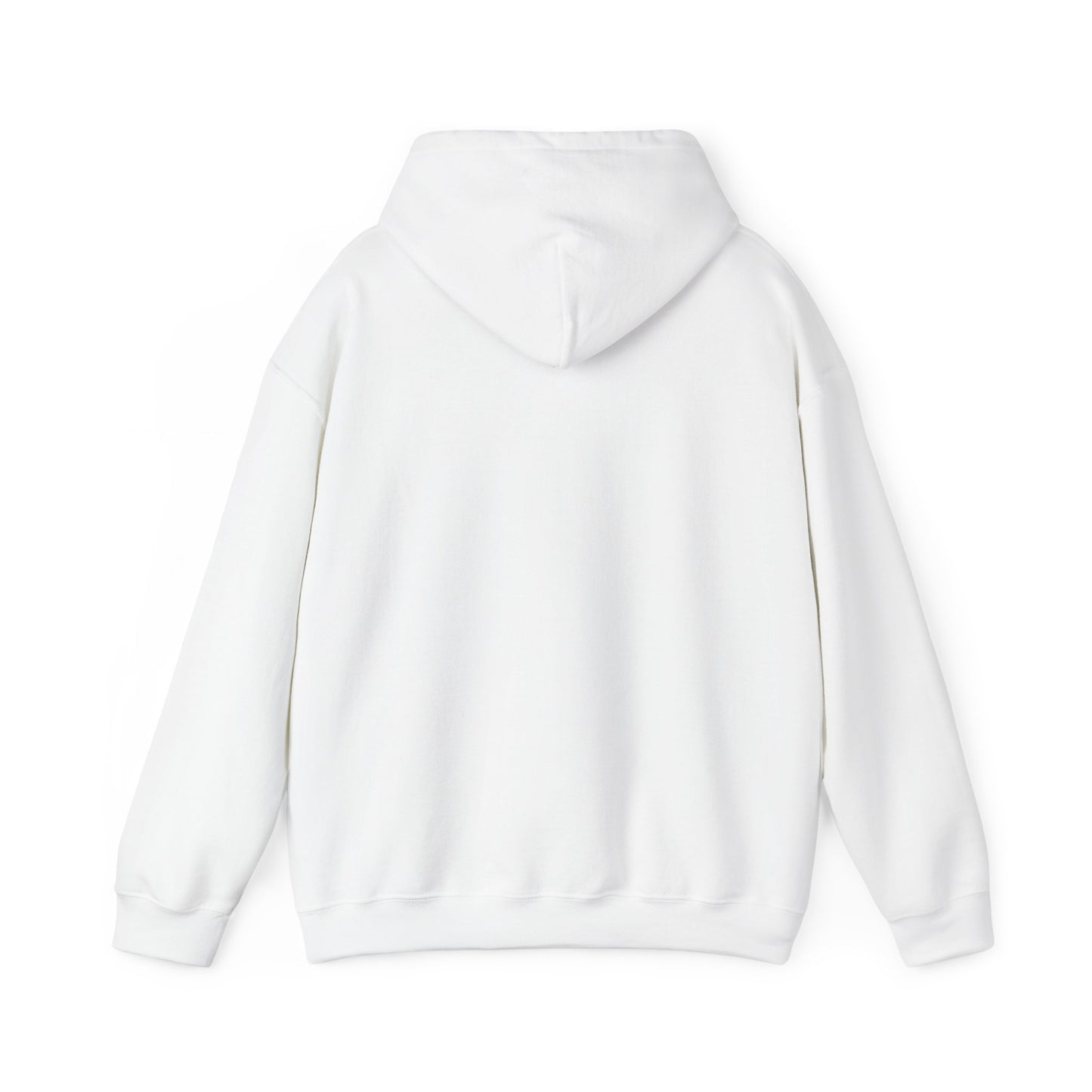 Sumter County Vintage Hoodie – Limited Edition Scenic Design