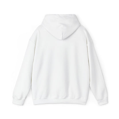 Sumter County Vintage Hoodie – Limited Edition Scenic Design