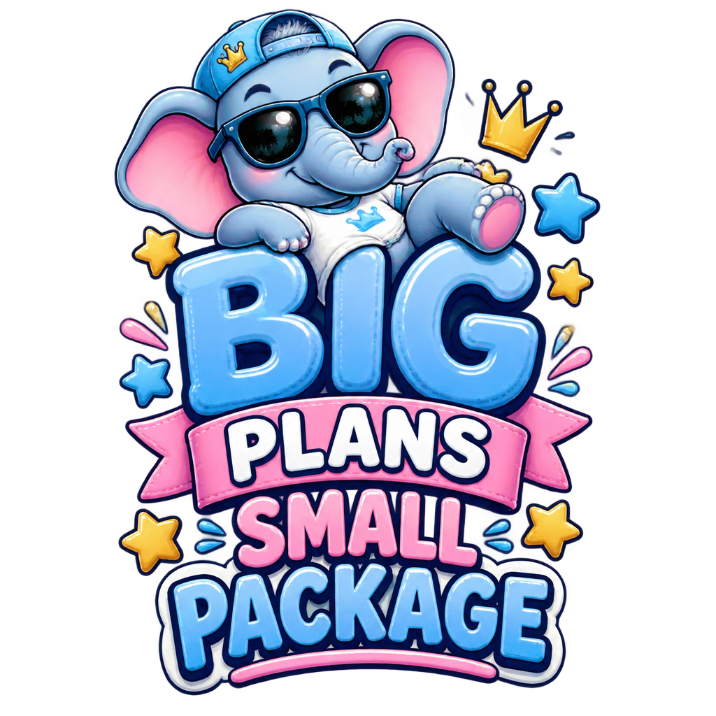 Big Plans Small Package