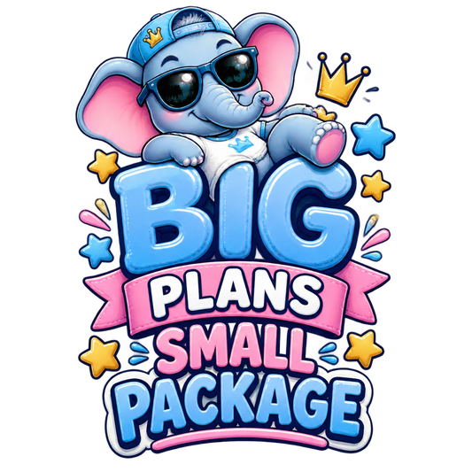 Big Plans Small Package