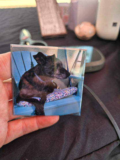 Custom Photo Magnet