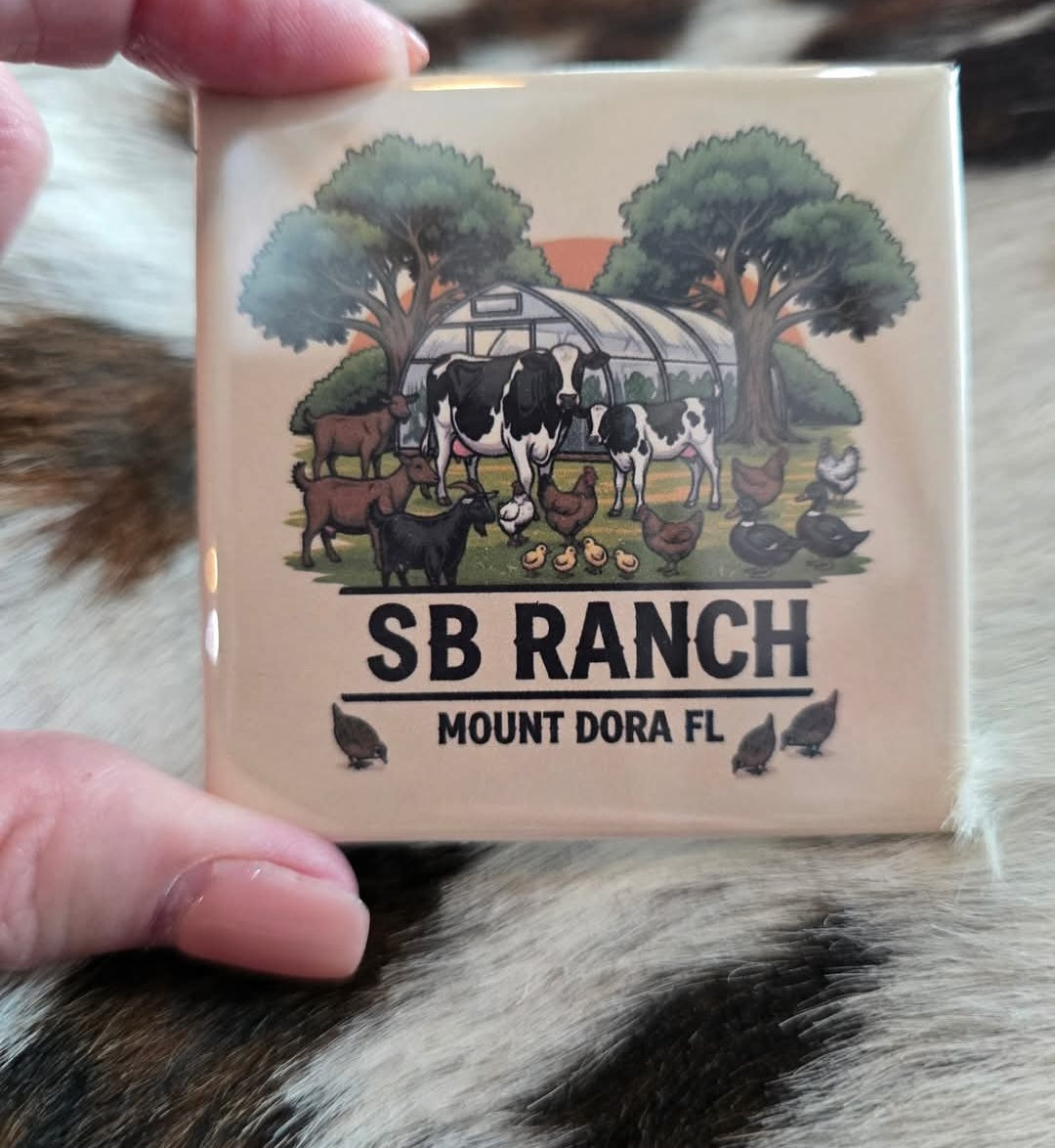 25 Custom Wholesale Magnets